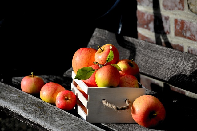 Opgradér din have med en smuk æblekasse fra vidaXL
