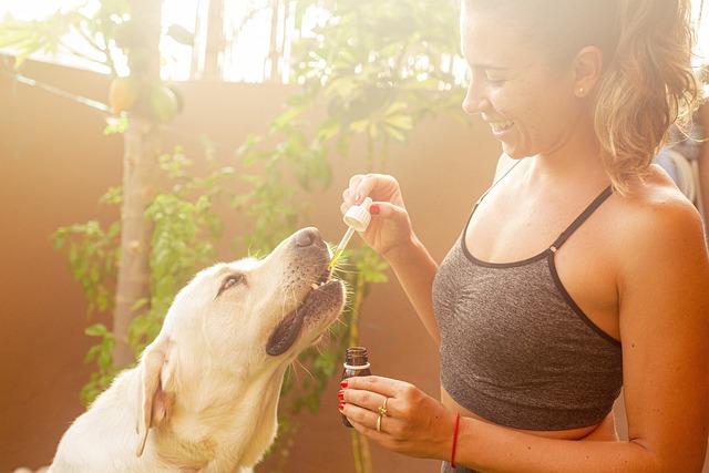 Cannabis for begyndere: En guide til thca og dets anvendelser